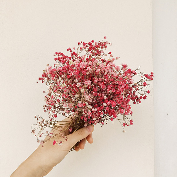 Felicity Expressions